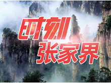 【惠民财政】武陵源区财政局夯实党建基础促发展