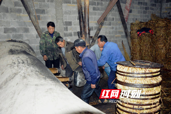 江华：百年油榨焕新生
