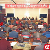 湘西州书法家协会第六次代表大会召开