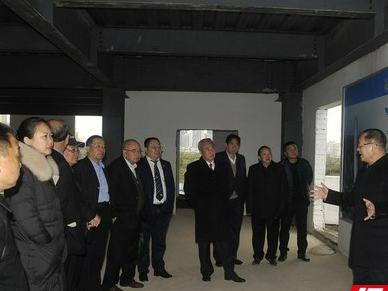 海外萧氏企业家代表团考察湖南台商总部大厦项目