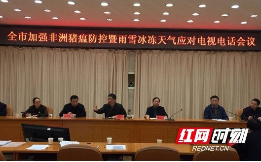 邵阳市政府部署防控非洲猪瘟及雨雪冰冻灾害工作