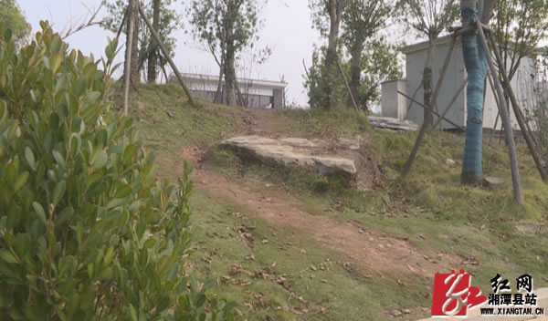 Still1213_00003.jpg Still1213_00003.jpg