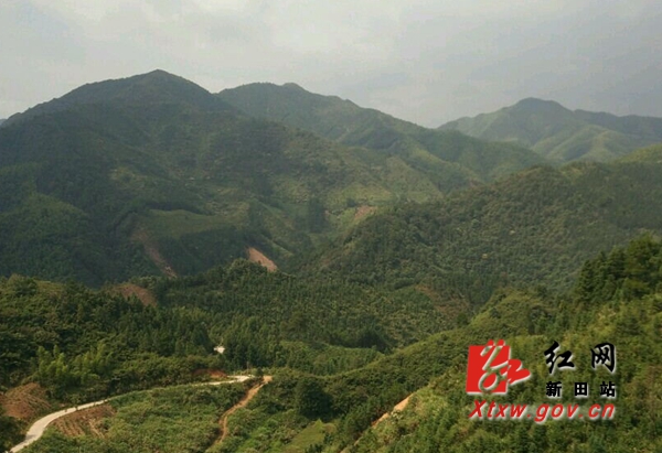 新田市场服务中心山区扶贫“送温暖”