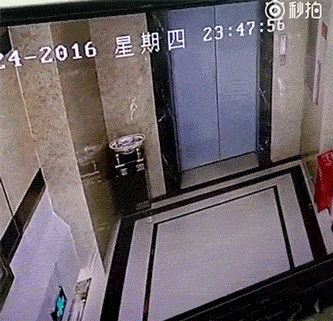 4978663023577425966.gif