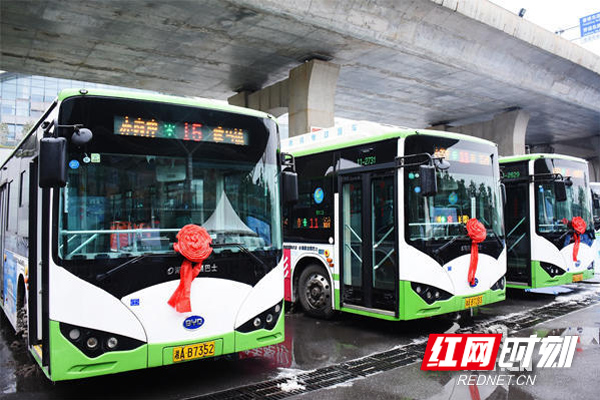 1月26日，“长沙市千台纯电动公交车投放仪式”在火车南站东广场举行，图为本次投放并运行的纯电动公交车。邓正可 摄.jpg