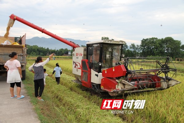 【改革开放40年】零陵区：蝶变零陵