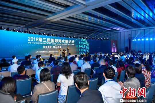2018第三届国际海水稻论坛12月18日在海南三亚召开。　骆云飞 摄