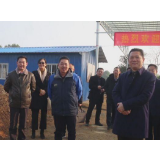 文物专家来华容调研