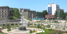 冷钢集团
