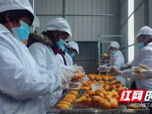 邵阳县13家企业参与“委托帮扶”带动5847名贫困人口脱贫
