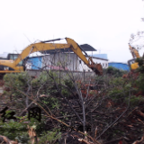 珊瑚街道337平方米违章建筑被依法拆除