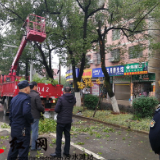 冷水滩区园林处：不惧严寒风雨，紧急处理危树险情