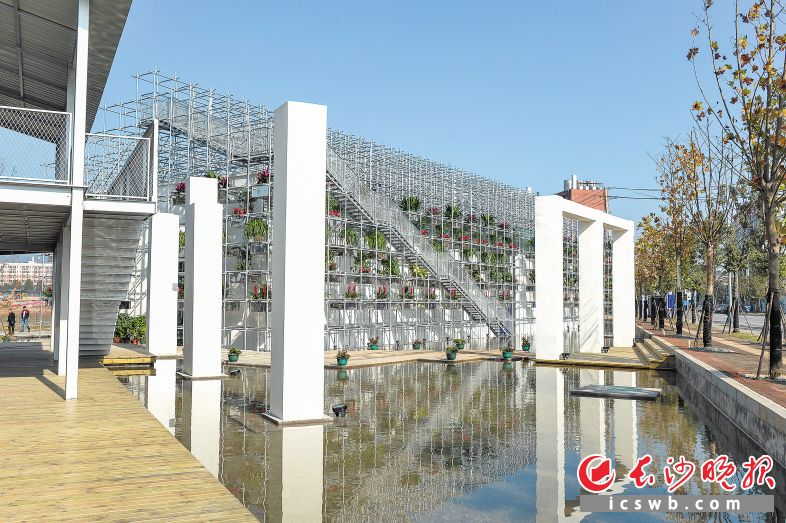 后湖畔的脚手架创意空间。 邹麟 摄