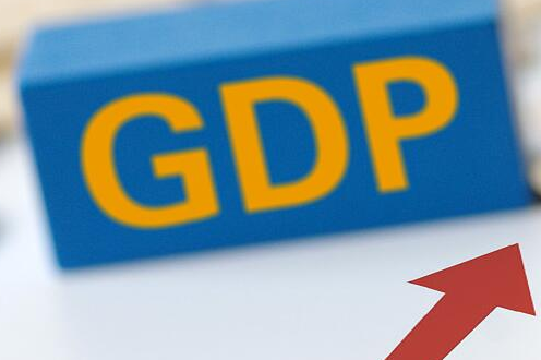 社科院：预计今年GDP增速6.6%左右