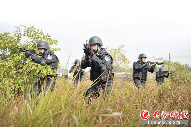 　　↓长沙公安机关大力打击黑恶犯罪，全市社会治安持续向好。