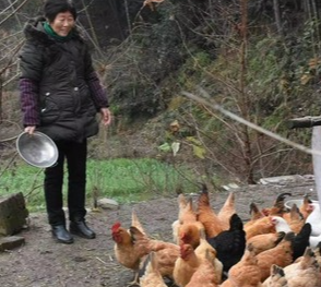 让帮扶精准到个人 益阳高新区这样助力脱贫攻坚