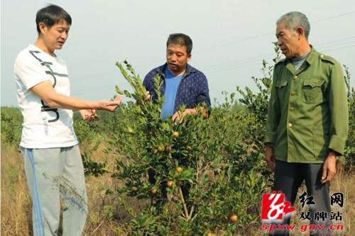 技能培训为脱贫攻坚注入造血功能