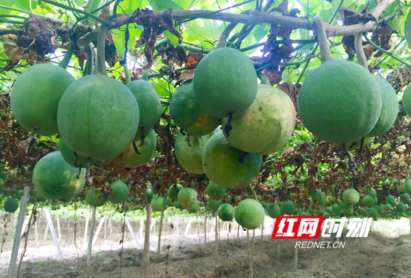 af04efcf30f1d71d1f94b3451ee9877_??.jpg af04efcf30f1d71d1f94b3451ee9877_??.jpg