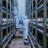 新时代新作为新篇章丨东安农业产业化经营驶入“快车道”