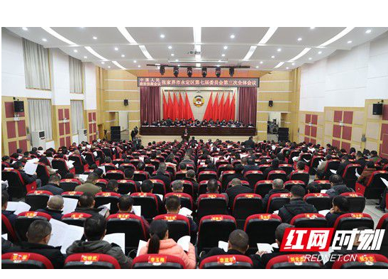 【“两会”时刻·永定】永定区政协七届三次会议举行第二次全体会议