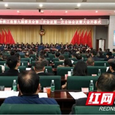 桃江：75件立案提案办理满意率100%