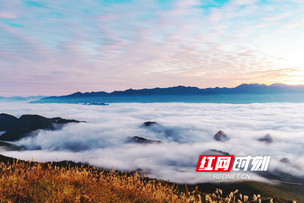 江华:云海奇观现草皇