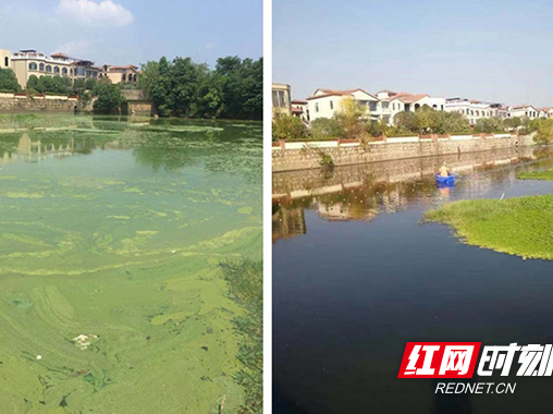 石墨烯助力长沙楚家湖华丽“蜕变”