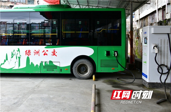 106b4393-ec68-4498-ace9-204852b0db48.jpg