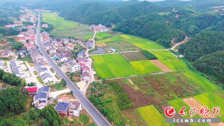 　　今年蒲塘村在基础设施建设、产业发展等方面取得突破性进展，精准扶贫工作收到良好成效。                        资料图片