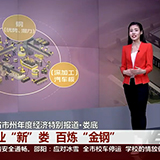 娄底：全省市州年度经济特别报道·娄底 产业“新”娄 百炼“金钢”