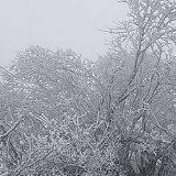 今晚暴雪来袭！预测长沙积雪将达8厘米