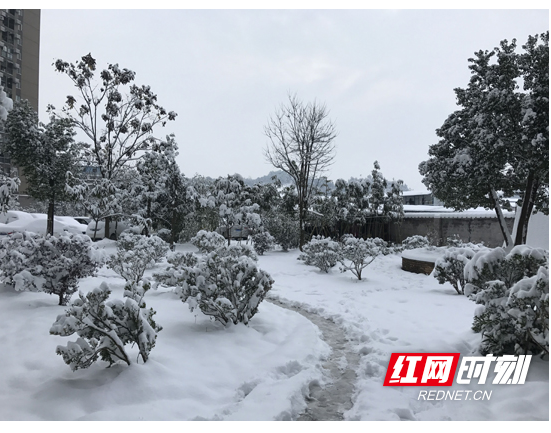 下雪啦!张家界市城区宛如童话世界 冰冻天气请注意防范