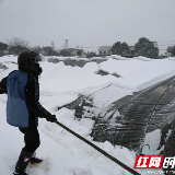 雪里红 | 白雪茫茫中“蔬菜保卫战”暖心开启