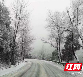 湘西交警发布1月1日上午全州道路交通情况