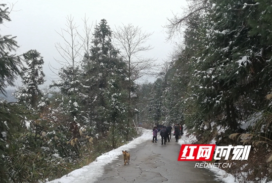 党员群众清扫积雪覆盖的道路保畅通.jpg