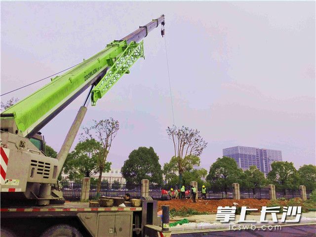 document_news_content_5c2df7795460f_watermark1.jpg document_news_content_5c2df7795460f_watermark1.jpg