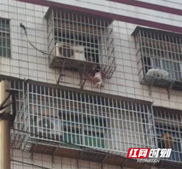 微信图片_20190104151235.jpg