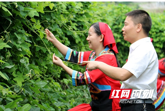 王作军被评为湖南省2018 年“百名最美扶贫人物”