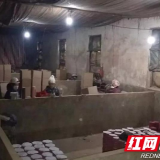 浏阳查获两处非法生产“霹雳星”窝点 抓获19名违法嫌疑人