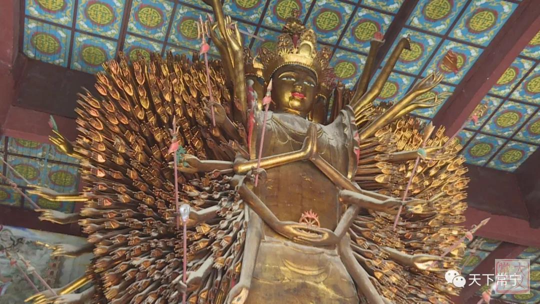 201811061541497923472025010_Watermarking.jpg 201811061541497923472025010_Watermarking.jpg