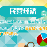 向您报告！2019长沙这么干⑥ 民营经济