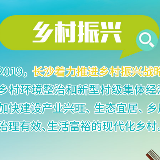 向您报告！2019长沙这么干⑧ 乡村振兴