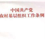 中共中央印发《中国共产党农村基层组织工作条例》