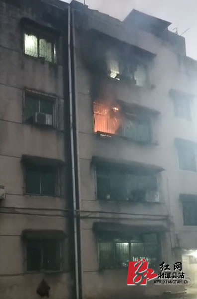 QQ??20190111112439.jpg