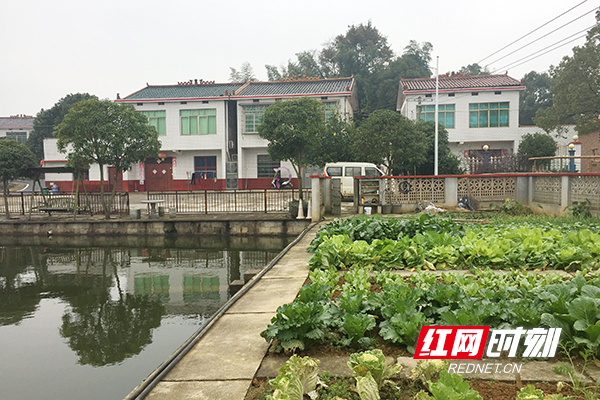 5.pic_hd.jpg 5.pic_hd.jpg