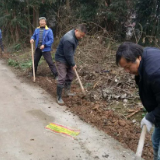 桃江县杉树仑村：村民自发出工出力，架起一盏盏“明灯”
