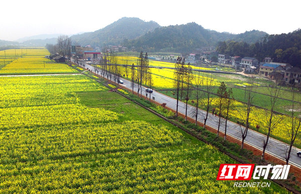 最美公路S208线。.jpg 最美公路S208线。.jpg