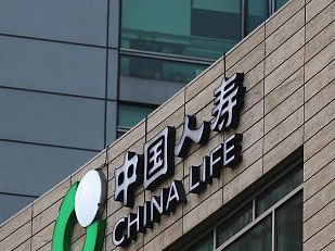 中国人寿创新启动公益项目 助阵CBA联赛全明星周末