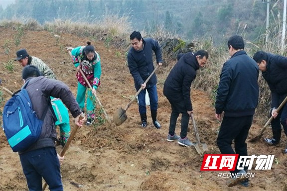 ???????????.marked.jpg ???????????.marked.jpg