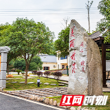 回望,确认的眼神|山水田园间这个合作社的“光明”之路